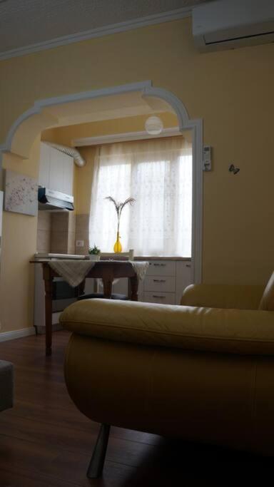 Alle'S M Shyri Studio Apartment Tirana Exteriér fotografie